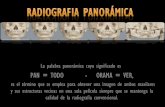 Radiología Panoramica