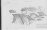 Guia de dibujo anatomico