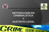 Metodología en criminalistica