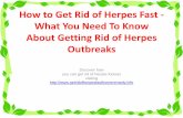 How to Get Rid of Herpes Fast - What You Need To Know  About Getting Rid of Herpes Outbreaks