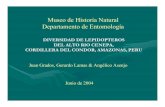 Diversidad de lepidopteros del alto rio Cenepa Cordillera del Condor, Amazonas, Peru - Ecuador