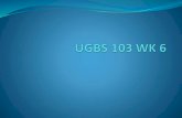 Ugbs 103 wk 6
