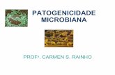 Patogenicidade microbiana   microbiologia básica