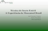 Técnica do Inseto Estéril A Experiência da Moscamed Brasil