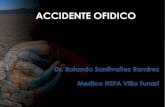 ACCIDENTE OFIDICO EN BOLIVIA