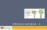 Powerpoint Nr. 3   InteracçõEs Seres Vivos  Factores Do Ambiente   RelaçõEs InterespecíFicas