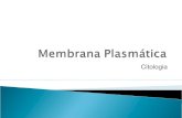 Citologia - Membrana plasmática