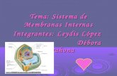 Sistemas de membranas internas