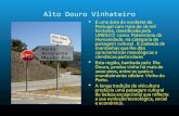 Portugal alto douro vinhateiro - vangelis