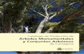 CATÁLOGO DE PROTECCIÓN DE ÁRBOLES MONUMENTALES Y CONJUNTOS ARBÓREOS DE CARTAGENA