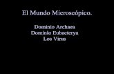 El Mundo MicroscóPico Virus, Archaea, Eubacteria