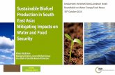 Sustainable Biofuel Production in South East Asia