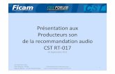 Présentation de la Recommandation CST RT017 Réunion SPSP 26102011