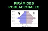 Demografía, pirámides poblacionales