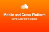 Cross-platform development in the context of mobile web