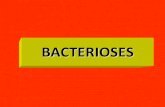 B1 bacterioses-130325082826-phpapp01