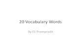 20 Vocabulary Words