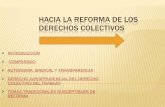 Hacia la reforma_de_los_derechos_colectivos_nueva