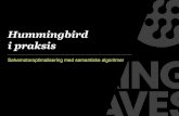 Google Hummingbird i praksis