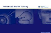 Advanced Index Tuning