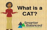 SBAC What is a CAT