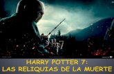 Harry Potter (Íñigo)