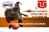 Etologìa clinica veterinaria En pequeños Animales y Grandes Animales