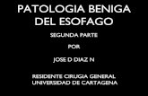 Patologia benigna esofago 2