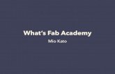 About the Fab Academy using FAN1