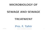 Microbiology of sewage and sewage treatment