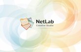 Кратко о netlab-com.ru