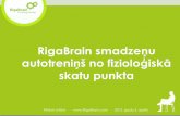 RigaBrain smadzeņu treniņš no fizoloģiskā skatu punkta