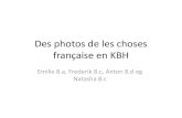 Des photos de les choses française en kbh