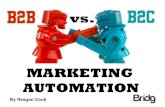 B2B vs. B2C Marketing Automation