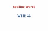 Spelling words wk11