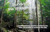 Surviving the Wilderness
