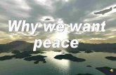 Why we want peace
