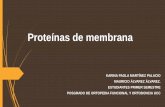 Proteínas de membrana biologia molecular