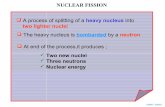 74.nuclear fission