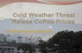 Cold Weather Threat Raises Coffee Prices
