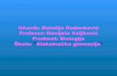 L207 - Biologija - Sisari â€“ Natalija Radenkovi‡ - Danijela Veljkovi‡
