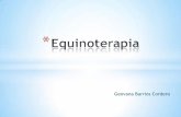 Presentación activa sobre Equinoterapia