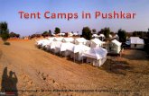 Tent camps in pushkar