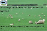 Lameness survey results