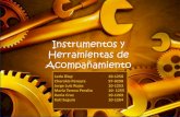 Instrumentos y herramientas acomp. 2