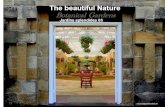 69 The Beautiful Nature (Jardins Splendides 03)