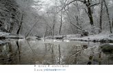 Winter Wanderland