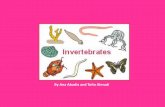 Invertebrates u5