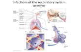 11 bio265 disease of respiratory system instructor dr di bonaventura