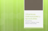 vitaminas hidrosolubles y liposolubles y funcion conenzimatica